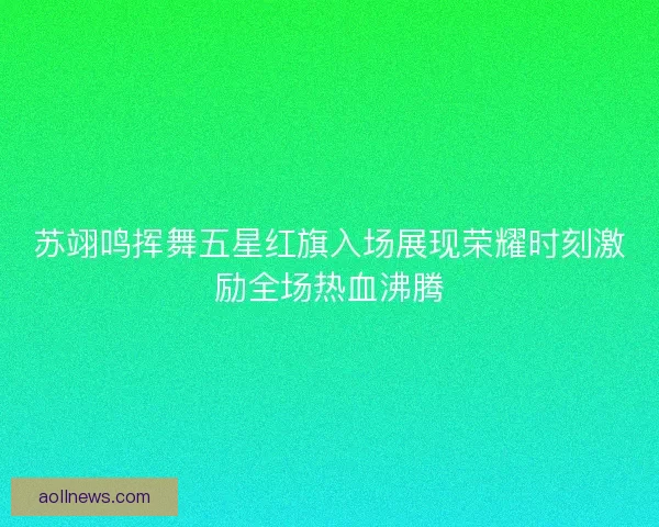 苏翊鸣挥舞五星红旗入场展现荣耀时刻激励全场热血沸腾